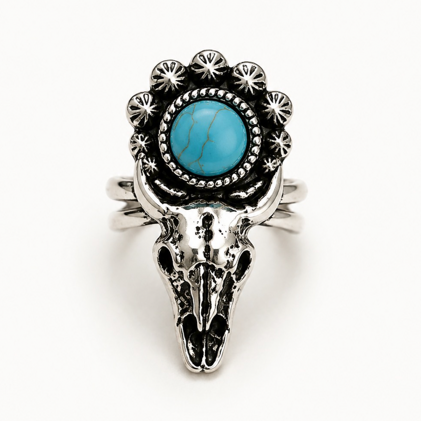 ANILLO CRÁNEO